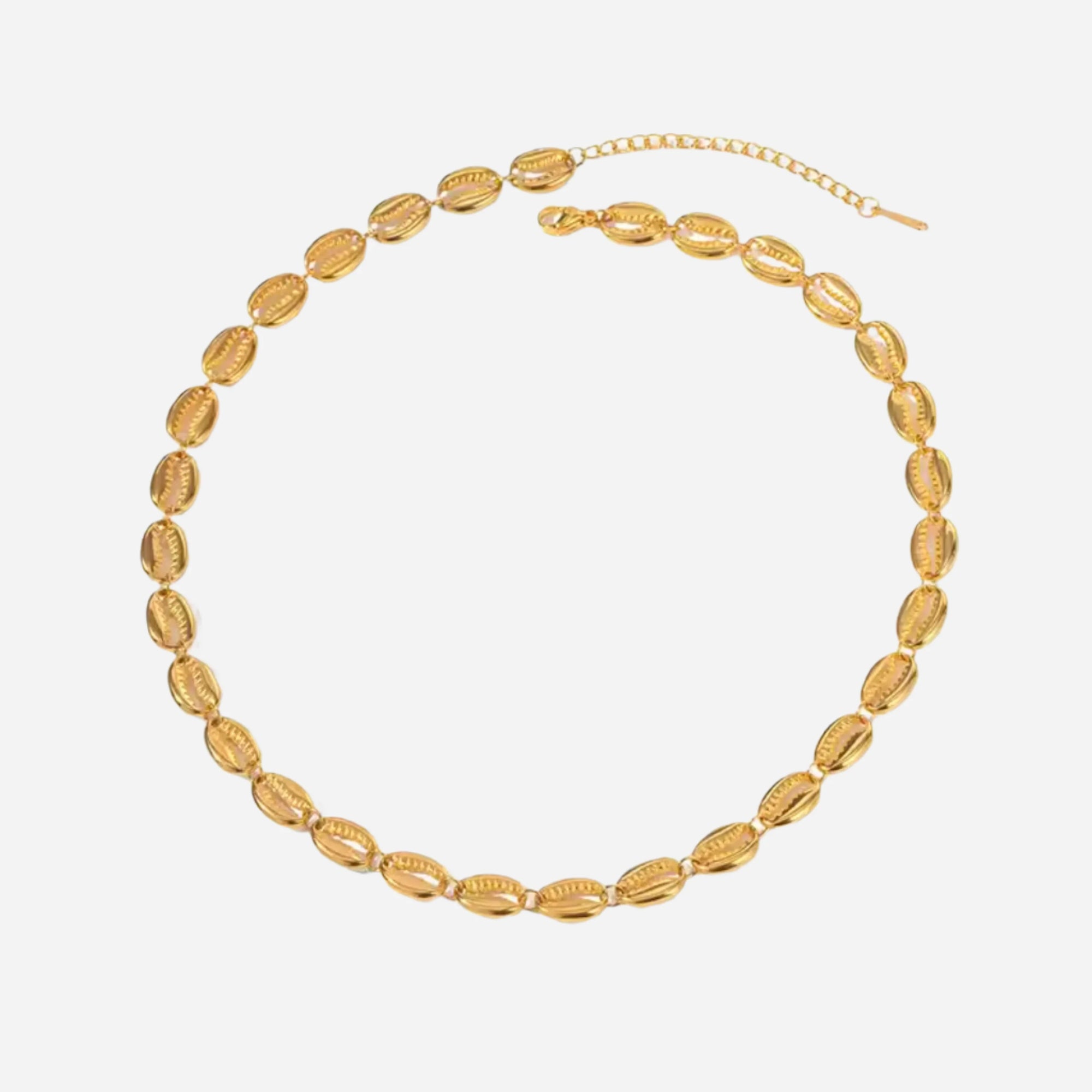 Shell necklace