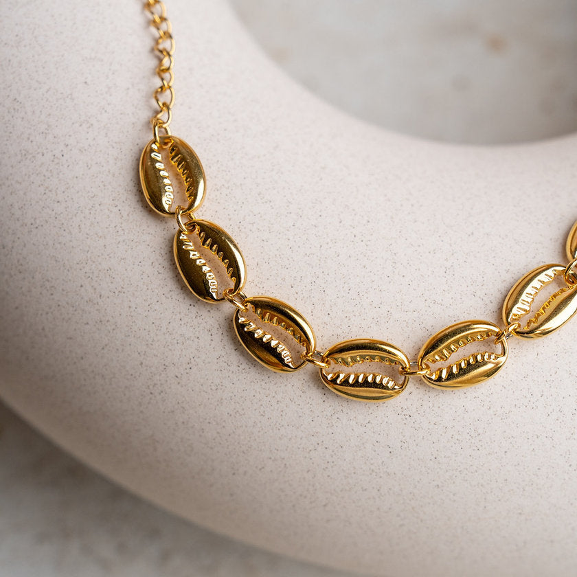 Shell Bracelet